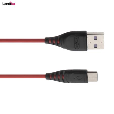 کابل تبدیل USB به USB-C ترانیو مدل S2-C طول 2 متر