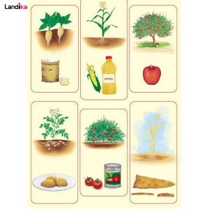 پوستر آموزشی منابع غذایی گیاهی