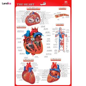 پوستر بزرگ قلب