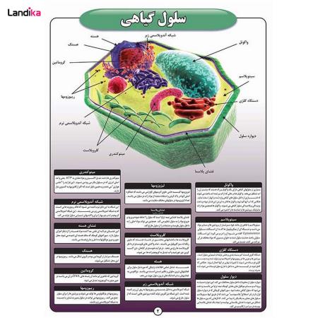 مجموعه پوستر های اطلس زیست شناسی و سلولی